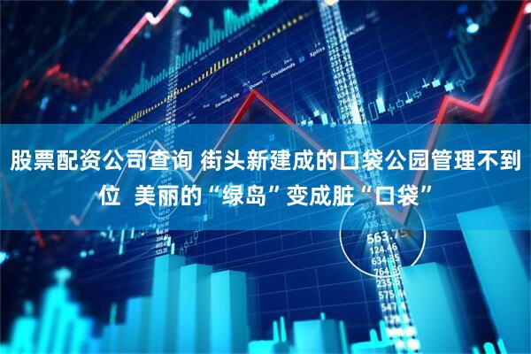 股票配资公司查询 街头新建成的口袋公园管理不到位  美丽的“绿岛”变成脏“口袋”