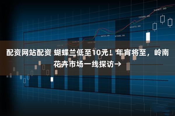 配资网站配资 蝴蝶兰低至10元！年宵将至，岭南花卉市场一线探访→